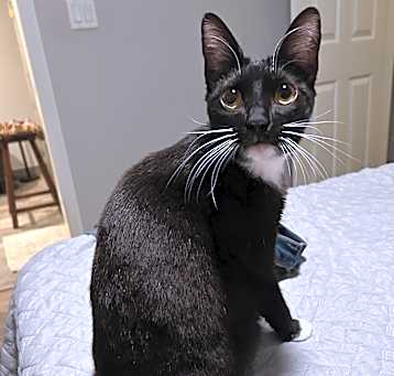 Photo of Mazy