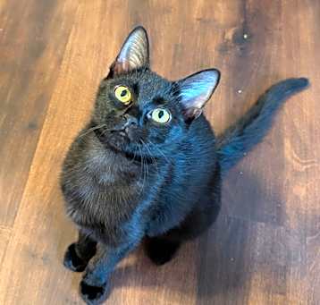 Photo of Helen