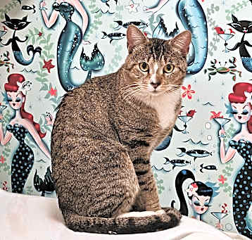 Photo of Leon