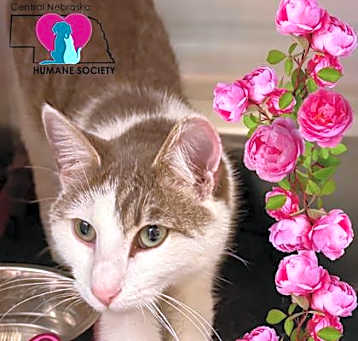 Photo of Bitsy