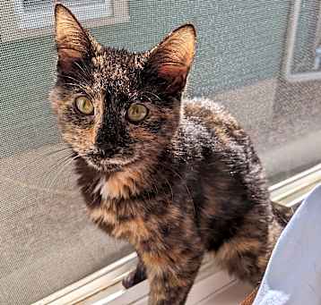 Photo of Edwina