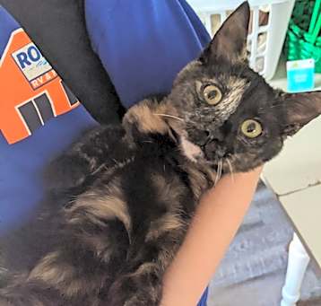 Photo of Mae