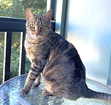 Photo of Cleo