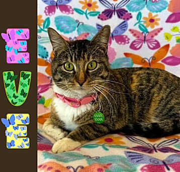 Photo of Eve