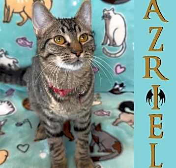 Photo of Azriel