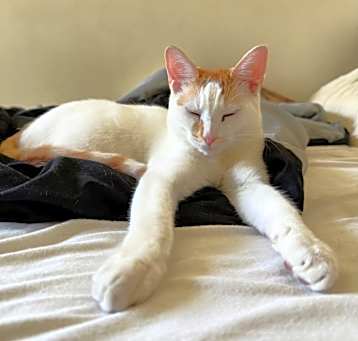 Photo of Carl