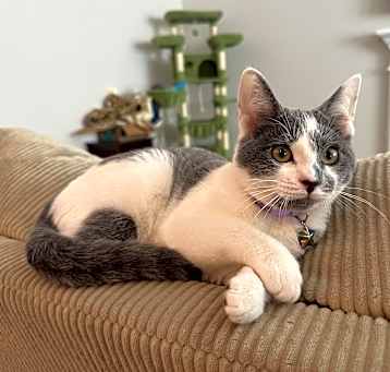 Photo of ClaudiaW