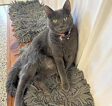 Photo of Alice
