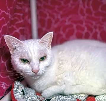 Photo of Frosty
