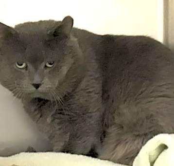 Photo of GRUMPY