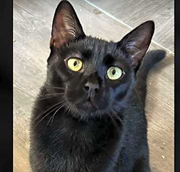 Photo of Louie