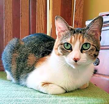 Photo of Wendy