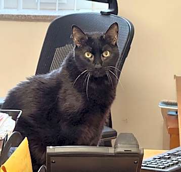Photo of Mr. Christmas