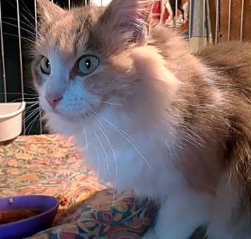 Photo of Delilah & Clarice (courtesy)