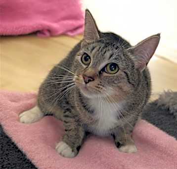Photo of DEWEY