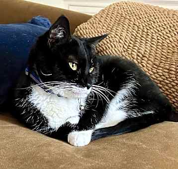 Photo of Bitsy