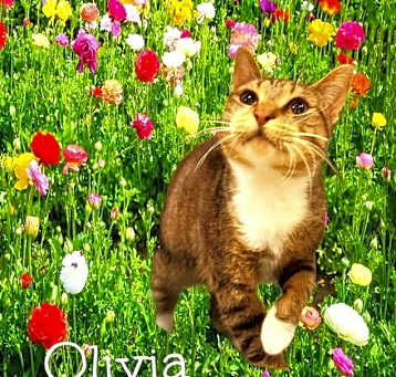 Photo of Olivia