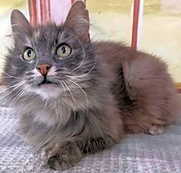 Photo of Marcella