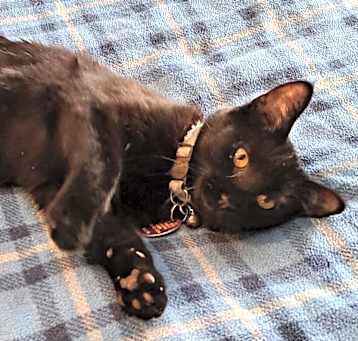 Photo of Zara