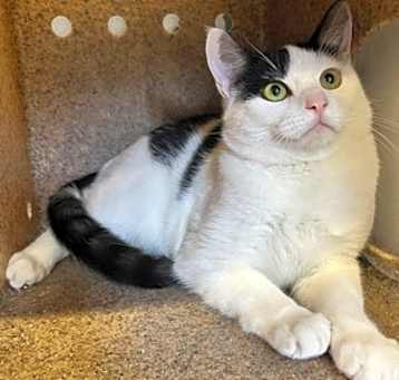 Photo of Catrick Swayze
