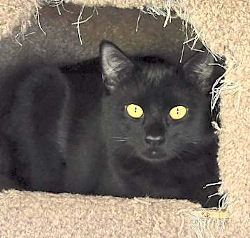 Photo of Chloe