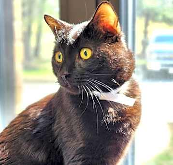 Photo of 46316 - Calvin