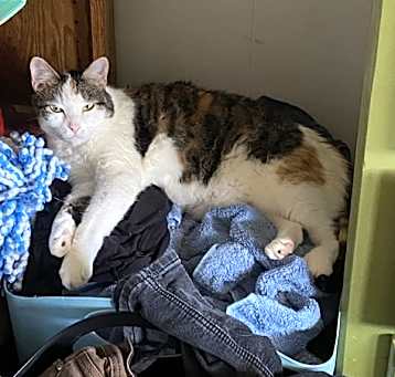 Photo of Kiki