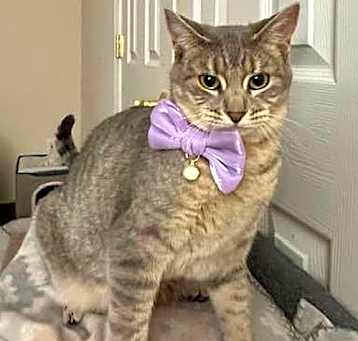 Photo of ABBY