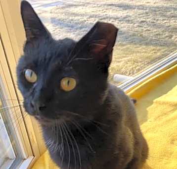 Photo of Spud
