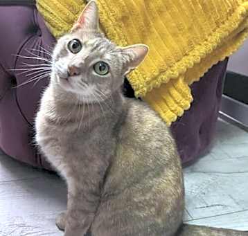 Photo of Moony