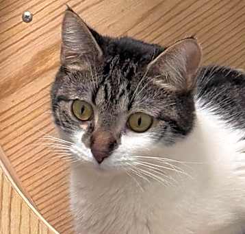 Photo of Sparkle