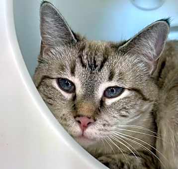 Photo of Roseann