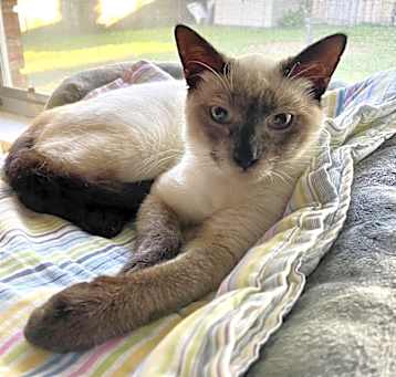 Photo of Charles