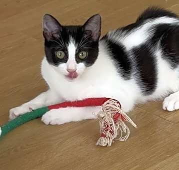 Photo of Nona