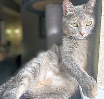 Photo of Piper Norris