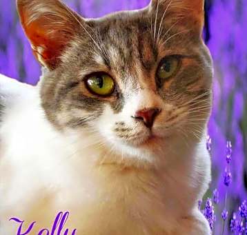 Photo of Kelly