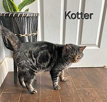 Photo of Kotter