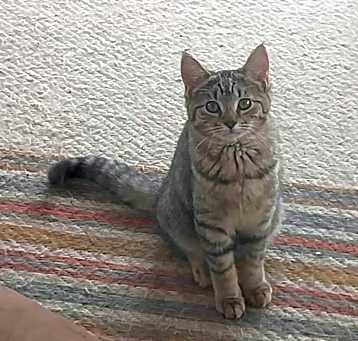 Photo of Winnie
