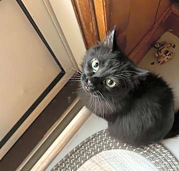 Photo of Beans