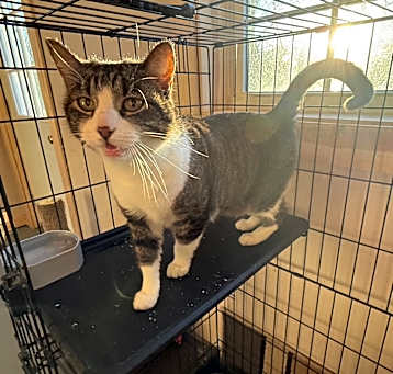 Photo of Pennywinkle