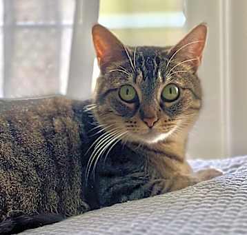 Photo of Fabbie