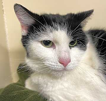 Photo of Maggie 