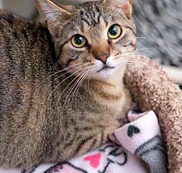 Photo of Saydee