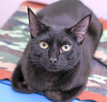 Photo of Lola