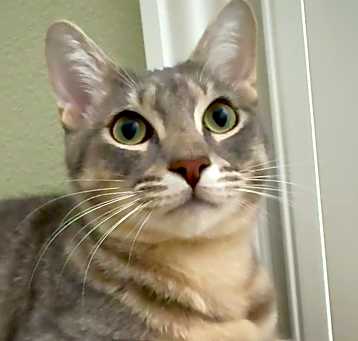 Photo of CLOUDIE
