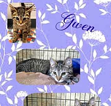 Photo of Gwen