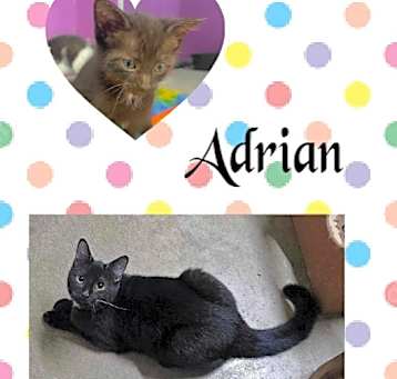 Photo of Adrian