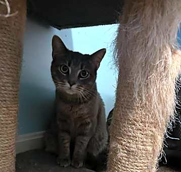 Photo of Teddy