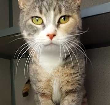 Photo of Swizzle