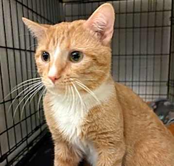Photo of Timothy